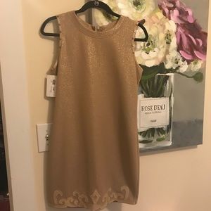 English Rose
Sleeveless Gold Mini Dress with Embroidered Hem